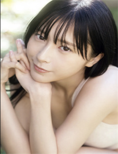 宝莲灯